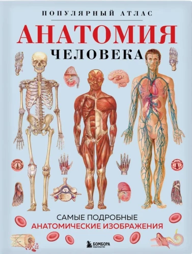 Cilvēka anatomija. Populārs atlants. Visprecīzākie anatomiskie attēli