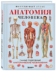 Cilvēka anatomija. Populārs atlants. Visprecīzākie anatomiskie attēli