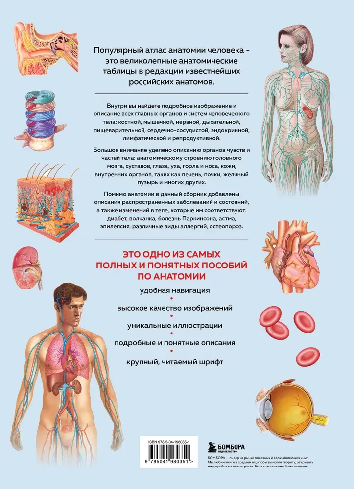 Cilvēka anatomija. Populārs atlants. Visprecīzākie anatomiskie attēli