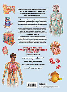Cilvēka anatomija. Populārs atlants. Visprecīzākie anatomiskie attēli