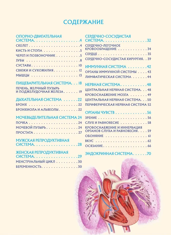 Cilvēka anatomija. Populārs atlants. Visprecīzākie anatomiskie attēli