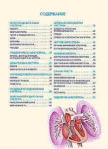 Cilvēka anatomija. Populārs atlants. Visprecīzākie anatomiskie attēli