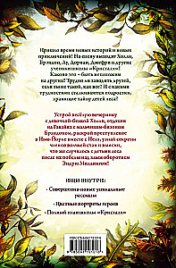 Divpadsmit noslēpumu