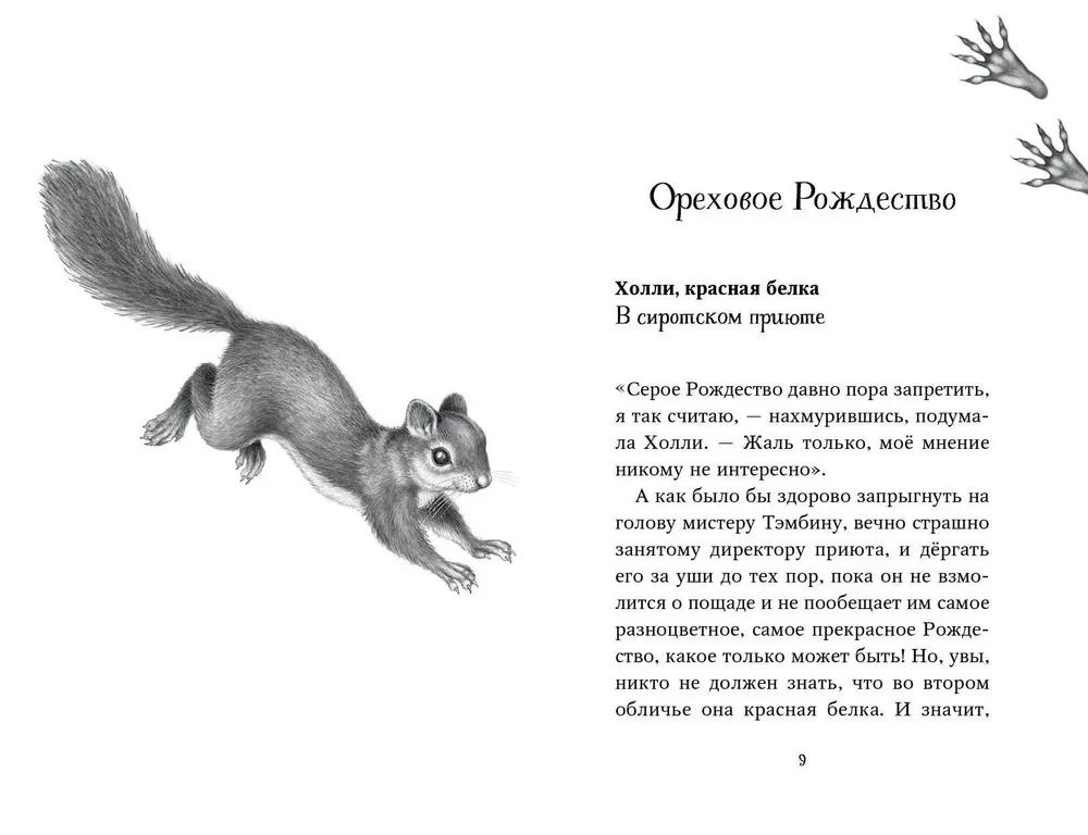 Divpadsmit noslēpumu