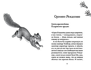 Divpadsmit noslēpumu