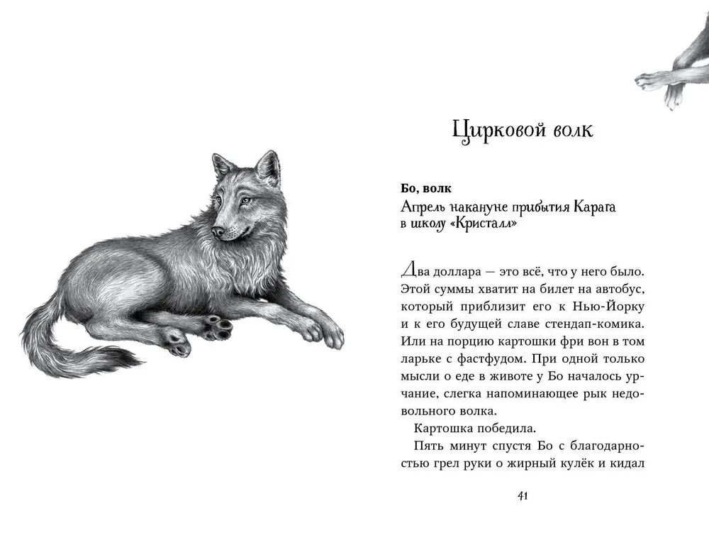 Divpadsmit noslēpumu