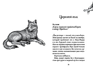 Divpadsmit noslēpumu
