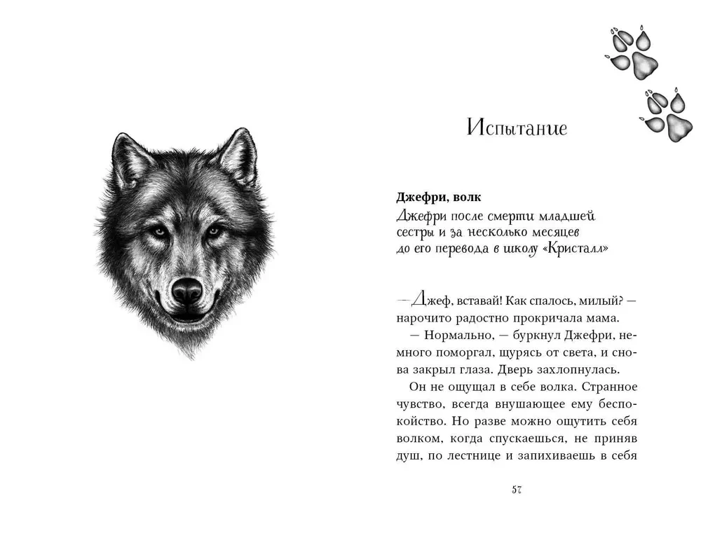 Divpadsmit noslēpumu