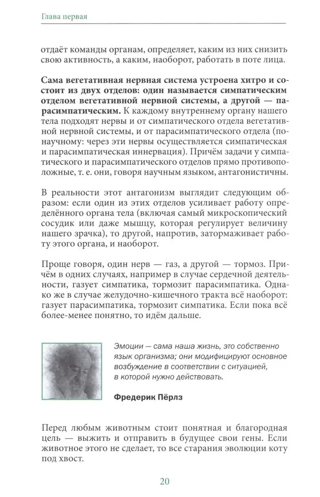 Паническая атака. Избавиться раз и навсегда!