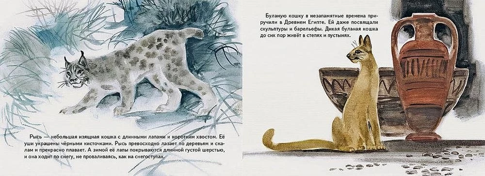 Savvaļas kaķi