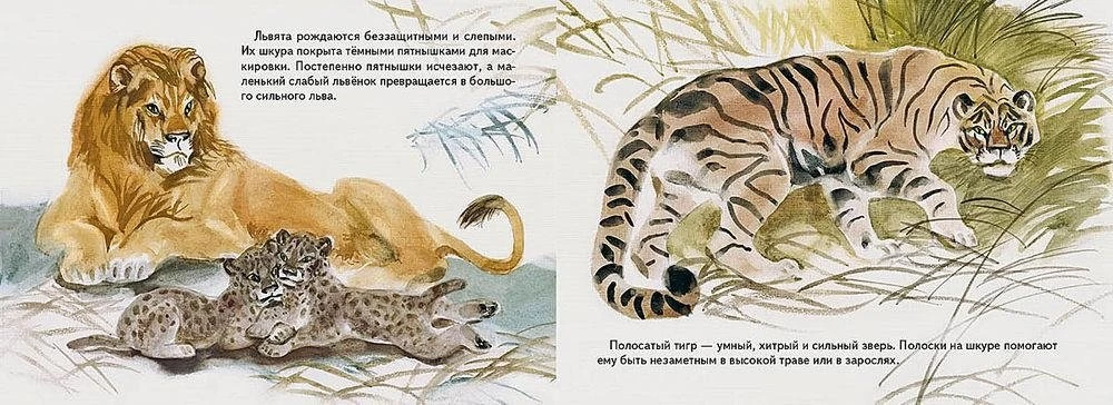 Savvaļas kaķi