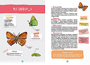 Лесные животные