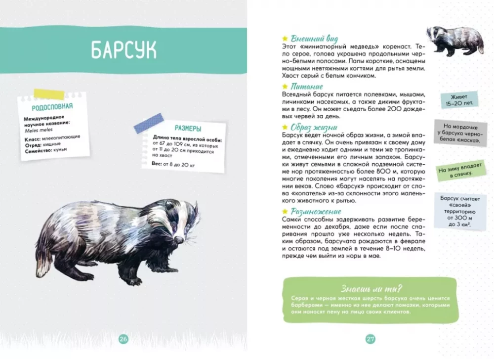 Лесные животные