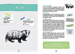 Лесные животные