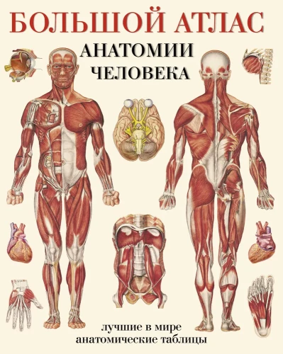 Lielais cilvēka anatomijas atlants