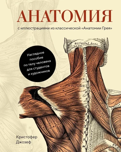 Anatomija