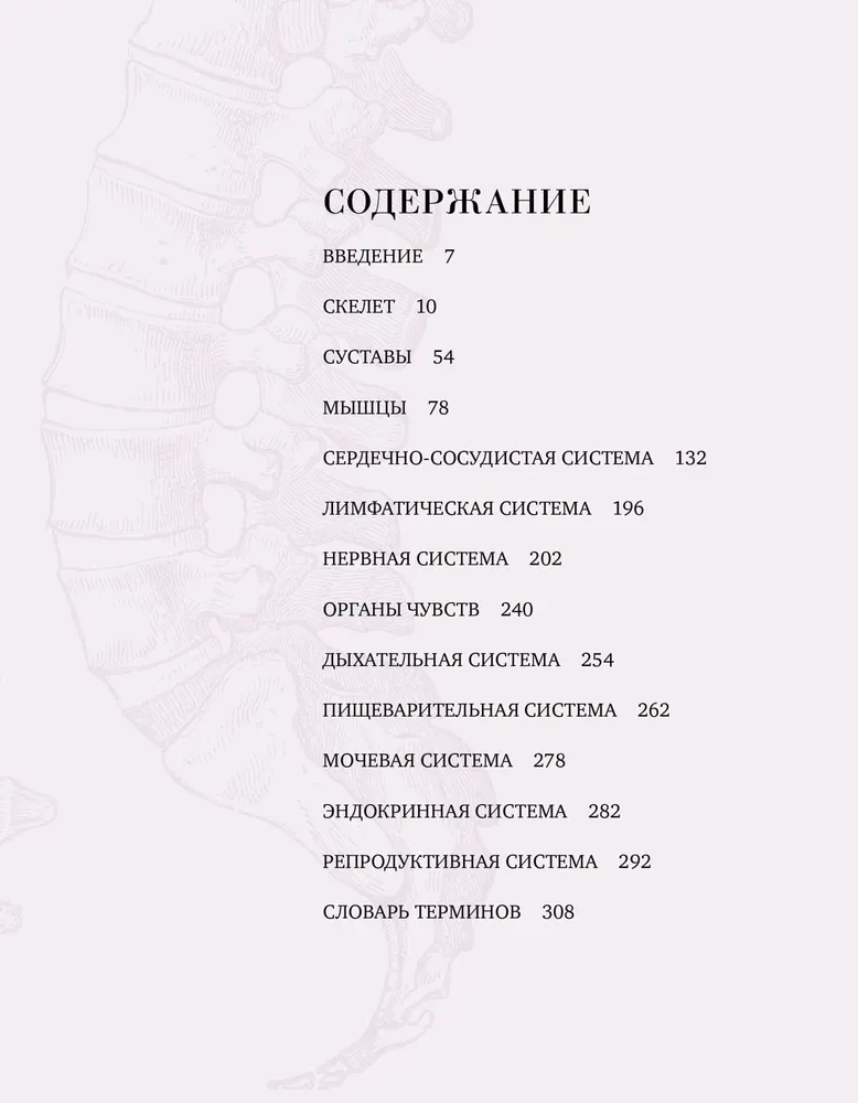 Анатомия