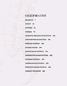 Анатомия