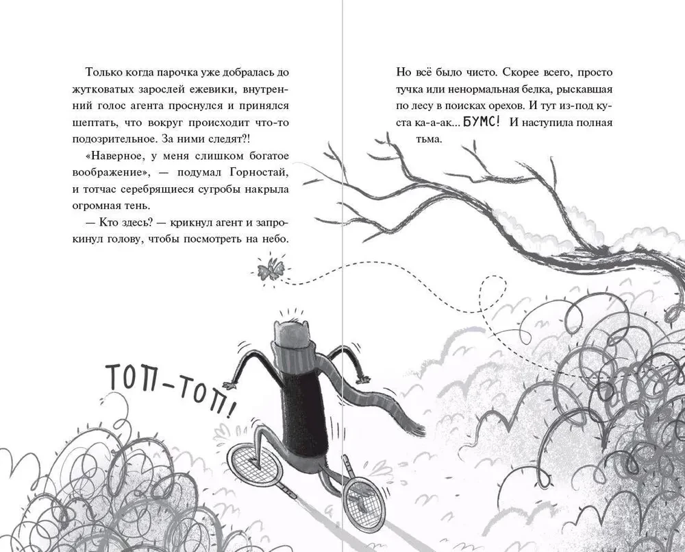 Svešinieka noslēpums cepurē