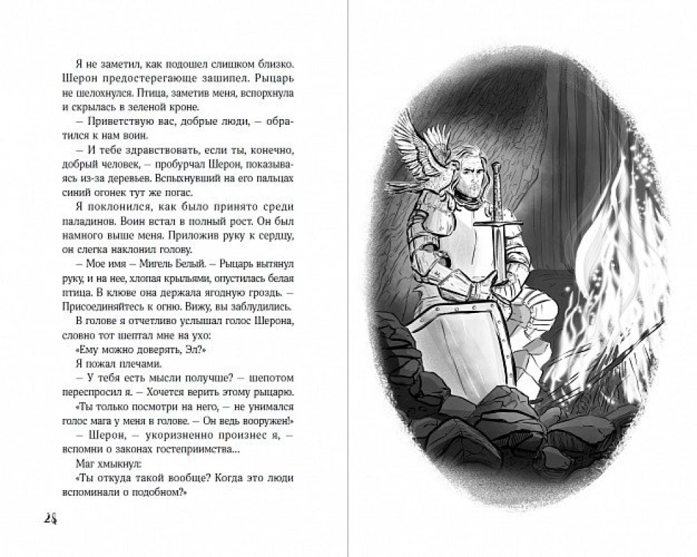 Gaišā grāmata: Paladina māceklis