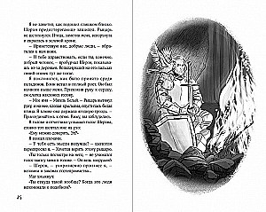 Gaišā grāmata: Paladina māceklis