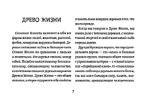 Оракул Зеленой магии друидов: магические щиты, предсказания и помощь тотемов. Колода Авен