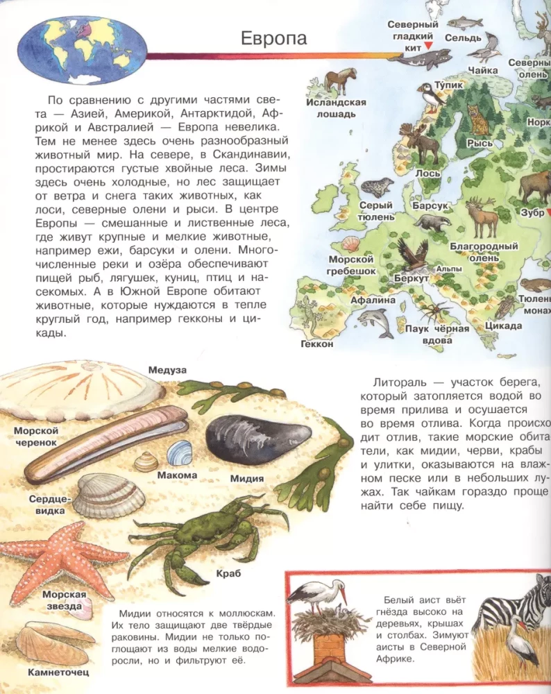 Kas? Kāpēc? Kāpēc? Mans pirmais dzīvnieku atlants (ar burvju logiem)