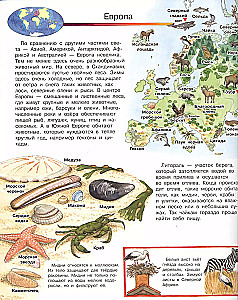 Kas? Kāpēc? Kāpēc? Mans pirmais dzīvnieku atlants (ar burvju logiem)
