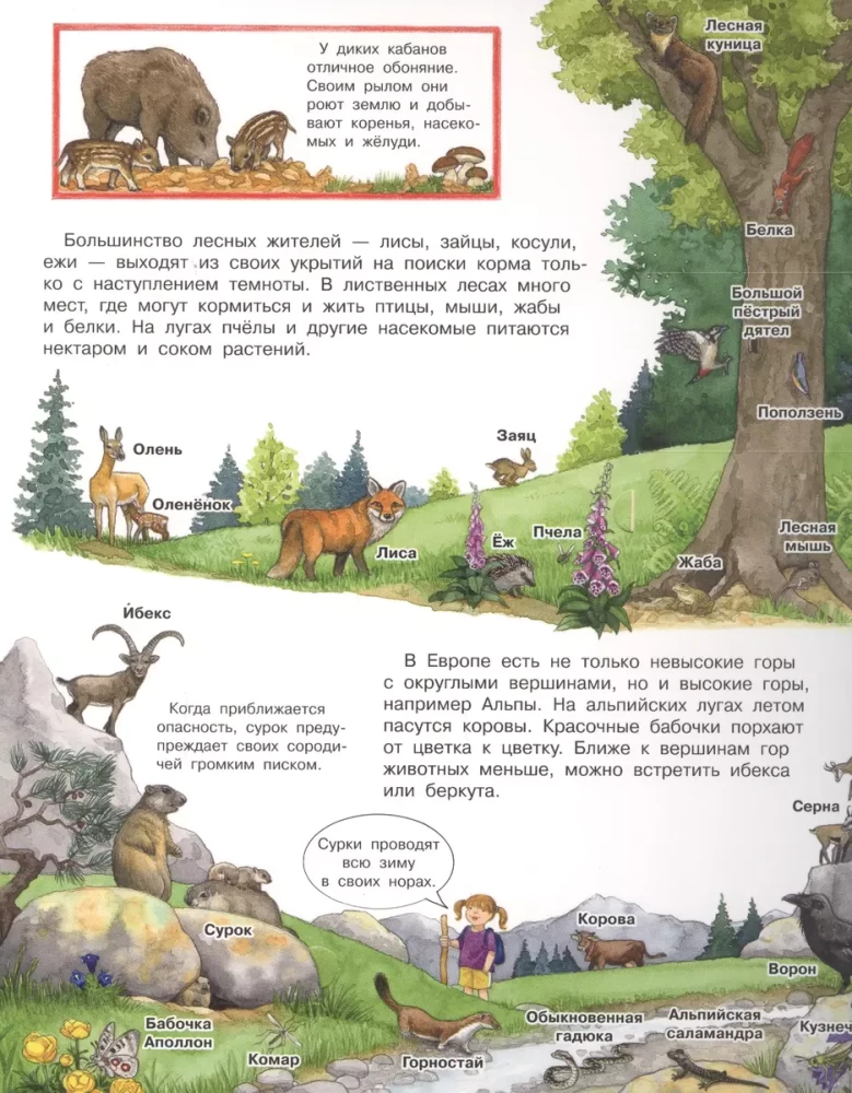 Kas? Kāpēc? Kāpēc? Mans pirmais dzīvnieku atlants (ar burvju logiem)