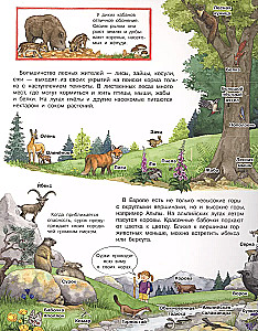 Kas? Kāpēc? Kāpēc? Mans pirmais dzīvnieku atlants (ar burvju logiem)