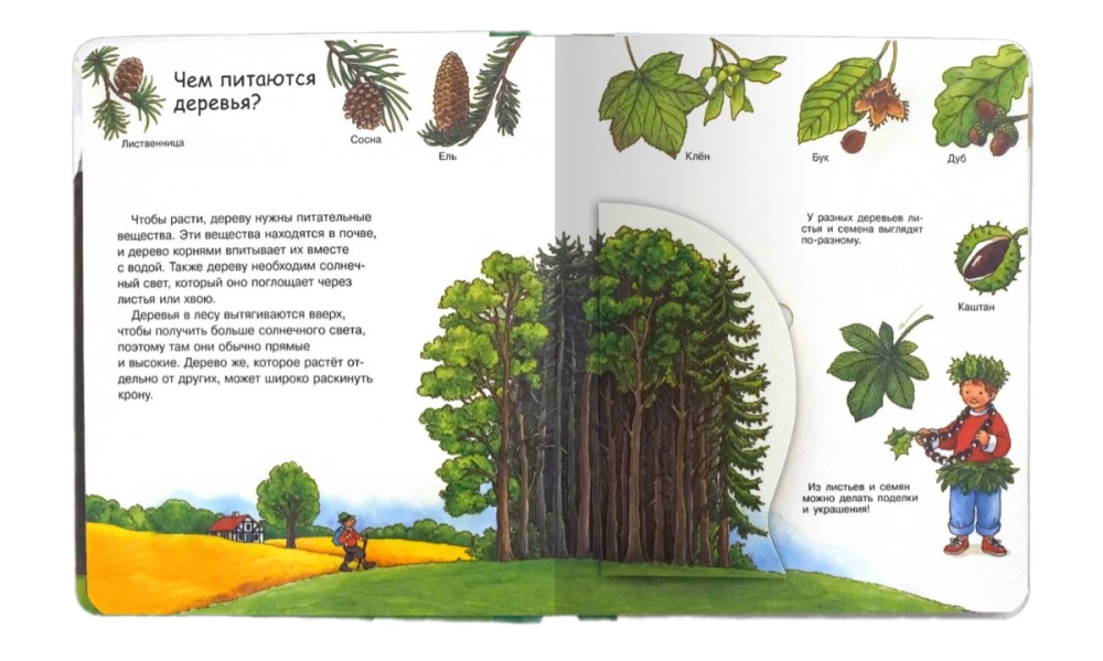 Kas? Kāpēc? Kādēļ? Mazajam. Mežs (ar burvīgajiem logiem)