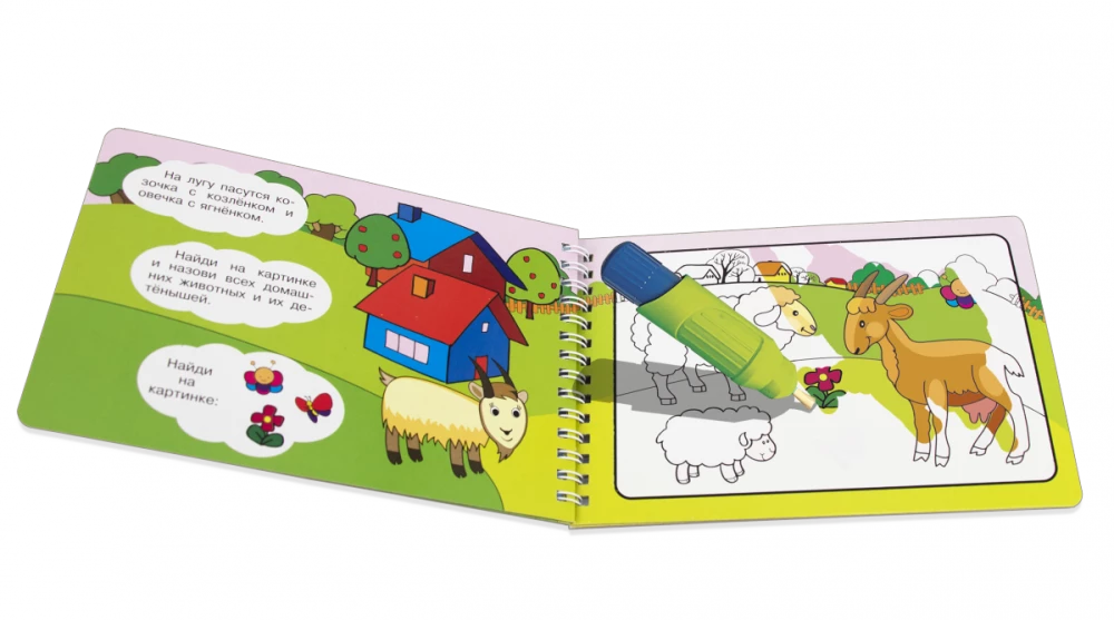 Daudzreizējā krāsojamā grāmata. Zīmējam ar ūdeni. Burvju krāsojamā grāmata. Mājdzīvnieki
