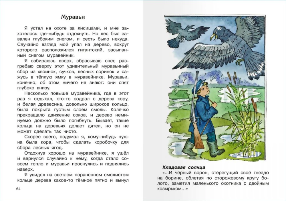 Кладовая солнца