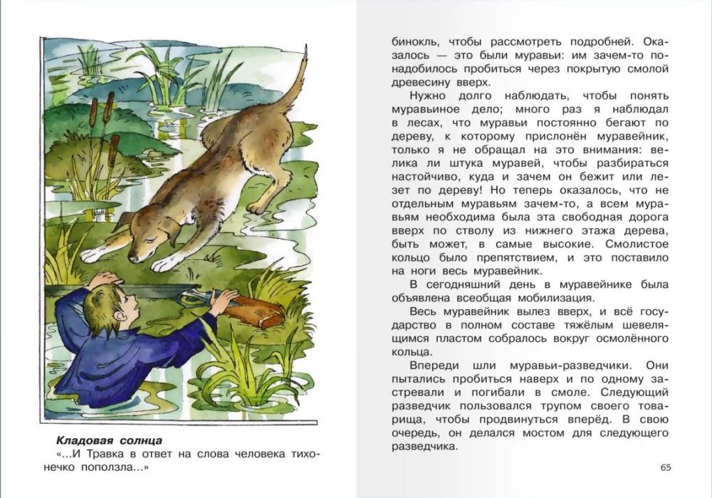 Кладовая солнца
