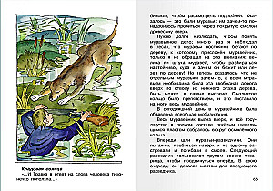 Кладовая солнца