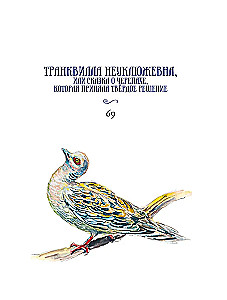Сказки