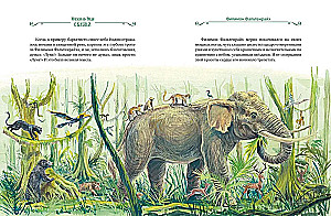 Сказки