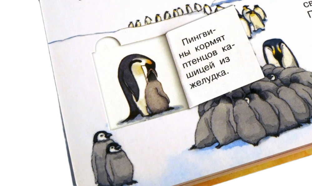 Что? Почему? Зачем? Мой первый атлас мира (с волшебными окошками)
