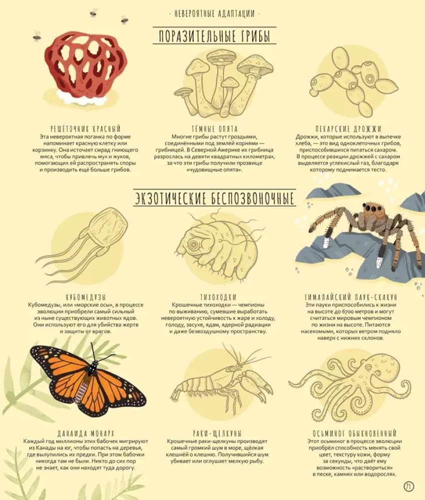Evolūcijas brīnumi. Ceļojums laikā