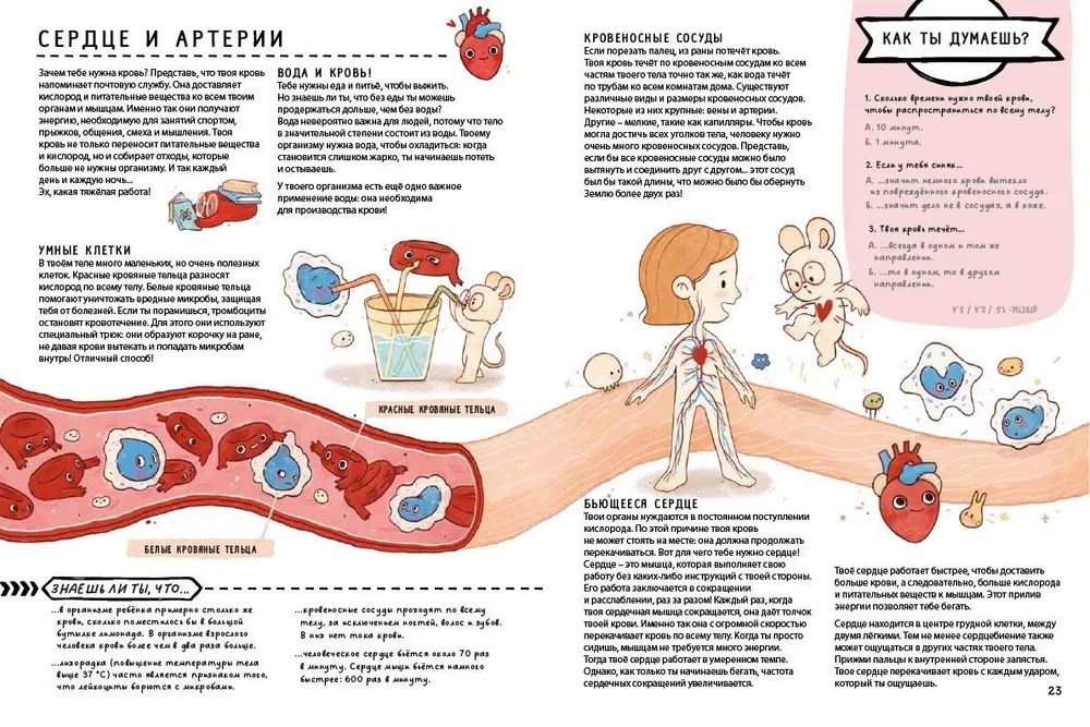 Секреты тела человека