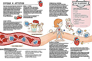 Секреты тела человека