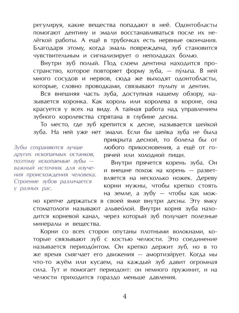 Зубная книжка