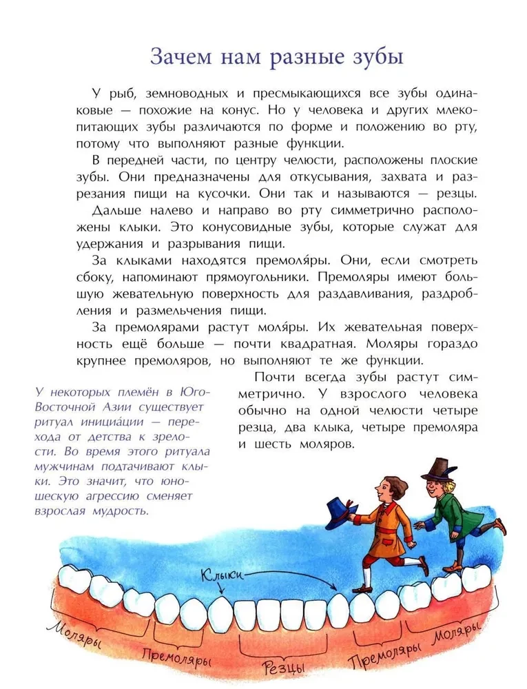 Зубная книжка