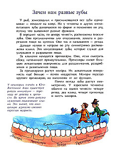 Зубная книжка