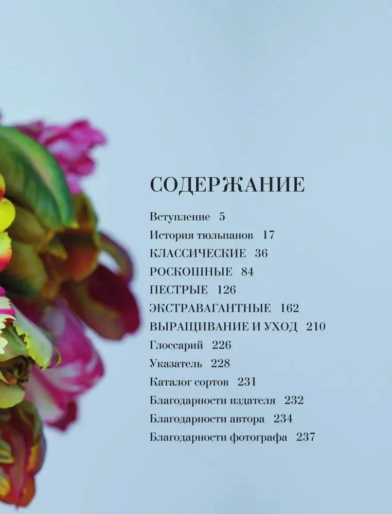 Tulpāni. Lieliski ziedi mājai un dārzam