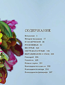 Tulpāni. Lieliski ziedi mājai un dārzam