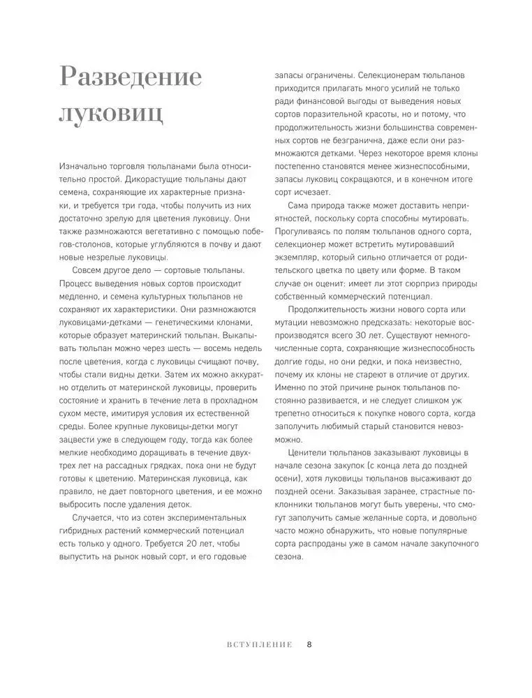 Tulpāni. Lieliski ziedi mājai un dārzam