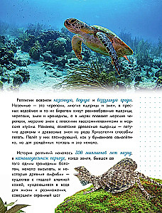 Змеи, ящерицы, черепахи