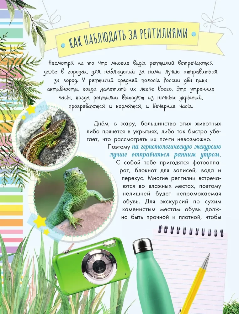 Змеи, ящерицы, черепахи