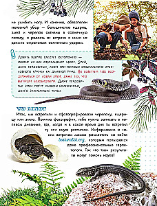 Змеи, ящерицы, черепахи